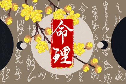 测八字命盘解析 命八字阴阳 八字看寿命免费 大运八字排盘 玄真六爻排盘